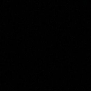 Meet your Posher, Lilly